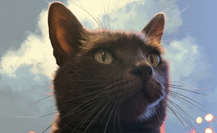 Grat cat with green eyes named Benji